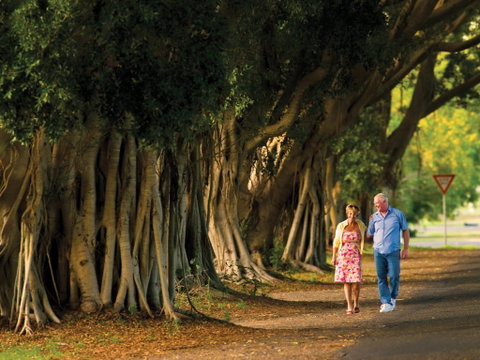 Fig Tree Avenue - Hervey Bay Accommodation 1