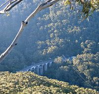 Forest Walk to Sublime Point Track