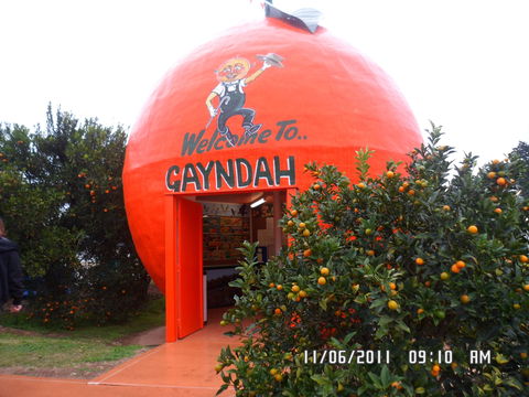 Gayndah's Big Orange - Hervey Bay Accommodation 2