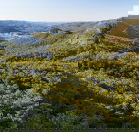 Gold Coast Hinterland Great Walk - Hervey Bay Accommodation