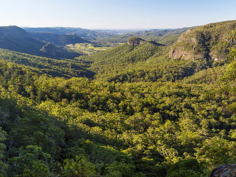 Gold Coast Hinterland Great Walk - Hervey Bay Accommodation 0