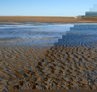 Illawong Beach