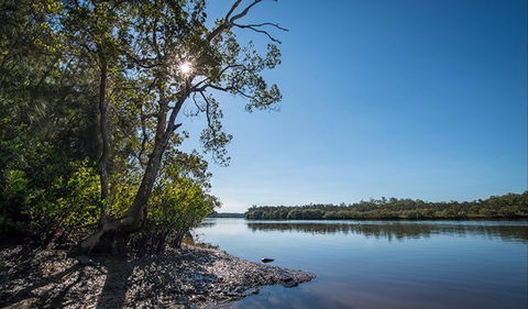 Karuah River National Park And Nature Reserve - Hervey Bay Accommodation 0