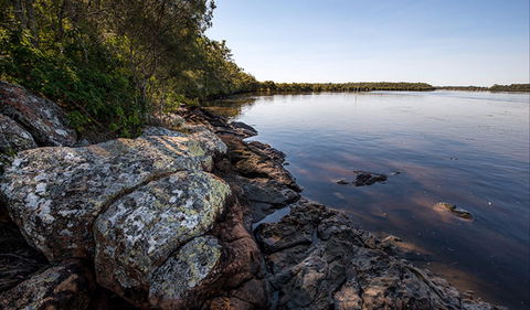 Karuah River National Park And Nature Reserve - Hervey Bay Accommodation 2
