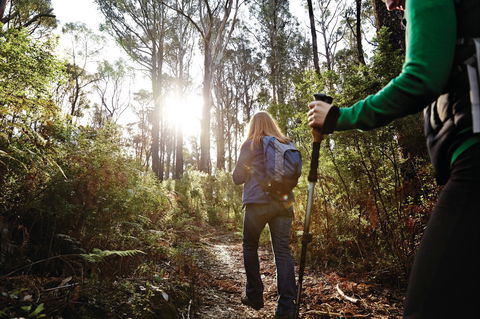 Kinglake National Park - Hervey Bay Accommodation 0