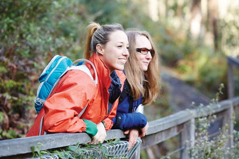Kinglake National Park - Hervey Bay Accommodation 2