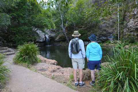 Kondalilla Falls Circuit, Kondalilla National Park - Hervey Bay Accommodation 1