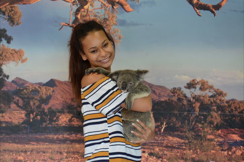 Kuranda Koala Gardens - Hervey Bay Accommodation 0