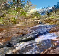 Little Dandahra Creek Walking Track - Hervey Bay Accommodation