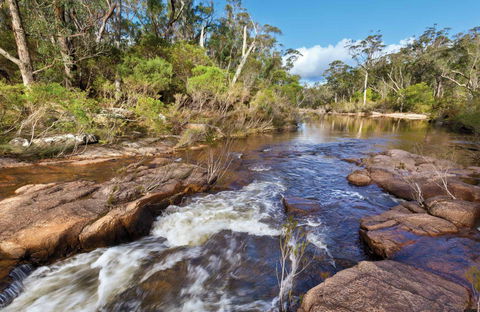 Little Dandahra Creek Walking Track - Tourism Hervey Bay 0