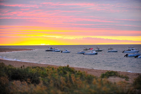 Mackerel Islands - Hervey Bay Accommodation 1