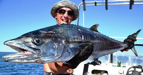 Mackerel Islands - Hervey Bay Accommodation 2
