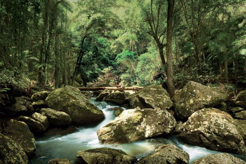 Maleny - Tourism Hervey Bay 0