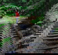 Montezuma Falls - Hervey Bay Accommodation