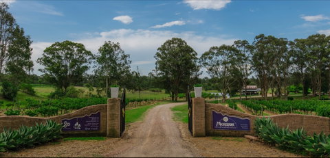 Moorebank Vineyard - Hervey Bay Accommodation 0