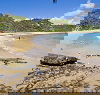 Nambucca Heads Beaches