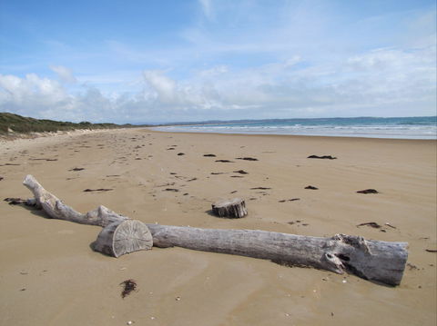 Narawntapu National Park - Hervey Bay Accommodation 2