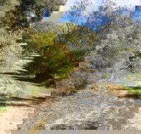 Naracoorte North Nature Park - Tourism Hervey Bay