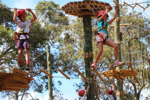 Next Level Monkey Business - Hervey Bay Accommodation 0