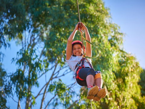 Next Level Monkey Business - Hervey Bay Accommodation 2