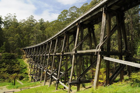 Noojee Trestle Bridge - Hervey Bay Accommodation 0