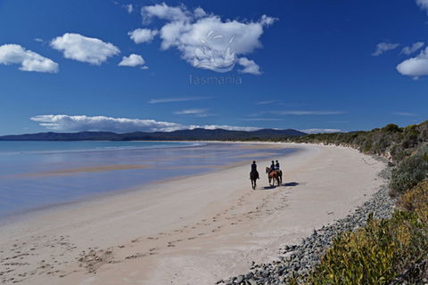 North West - Hervey Bay Accommodation 0