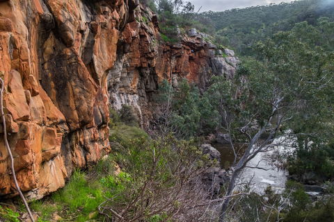 Onkaparinga River National Park - Hervey Bay Accommodation 1