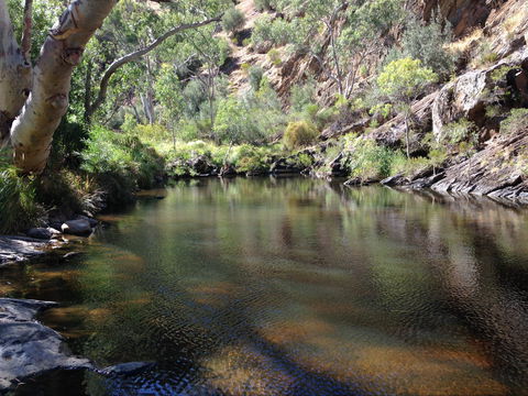 Onkaparinga River National Park - Hervey Bay Accommodation 2