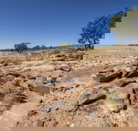 Peery Lake picnic area