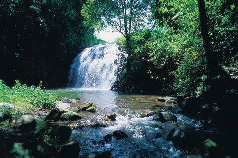 Pepina Falls - Hervey Bay Accommodation 0