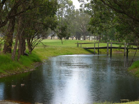 Pinjarra Golf Club - Tourism Hervey Bay 2