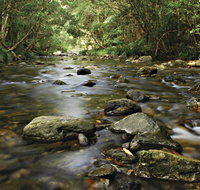 Plateau Circuit Loop Trail - Hervey Bay Accommodation