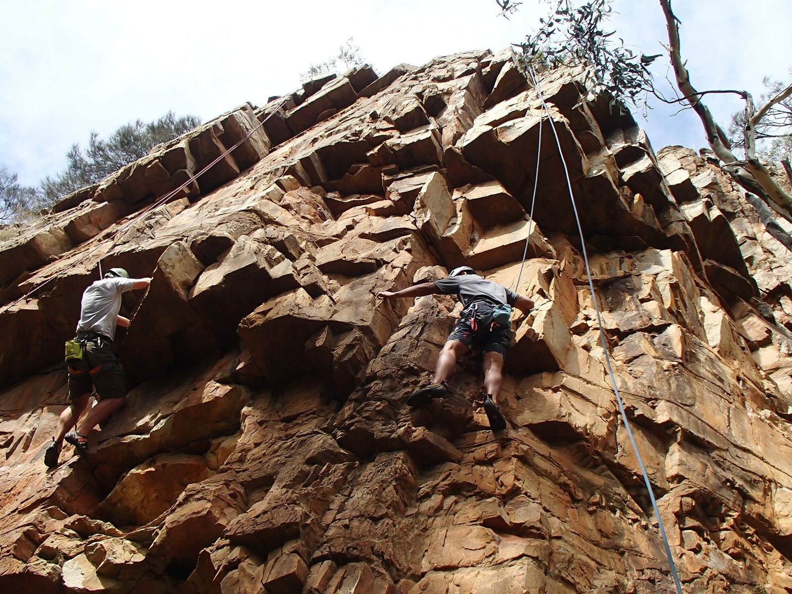 Woodforde SA Tourism Hervey Bay
