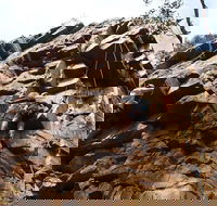 Rock Climbing in Morialta - Hervey Bay Accommodation