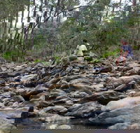 Rocksberg Park Heritage Reserve - Hervey Bay Accommodation