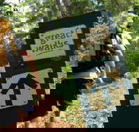 Sunshine Coast Hinterland Great Walk - Hervey Bay Accommodation