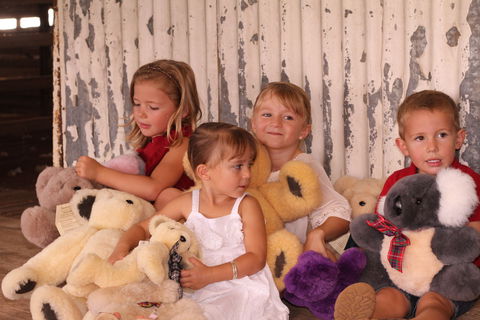 Tambo Teddies - Hervey Bay Accommodation 0