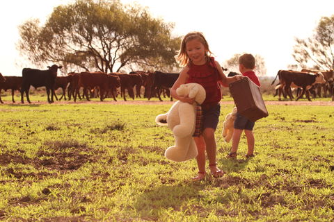 Tambo Teddies - Hervey Bay Accommodation 1