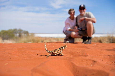 Tnorala (Gosse Bluff) Conservation Reserve - Hervey Bay Accommodation 2