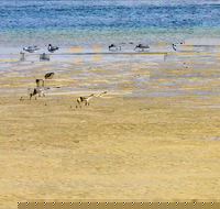 Towra Beach - Tourism Hervey Bay