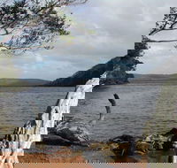 Walpole-Nornalup Inlet - Hervey Bay Accommodation