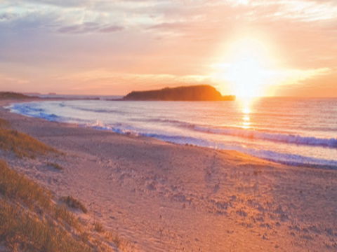 Warilla Beach: Shellharbour - Hervey Bay Accommodation 0