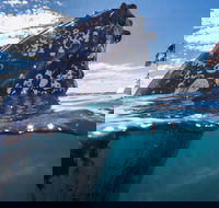 Whale Watching