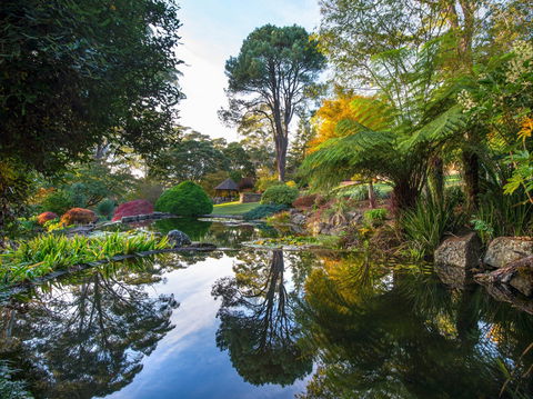 Windyridge Garden Mount Wilson - Hervey Bay Accommodation 1