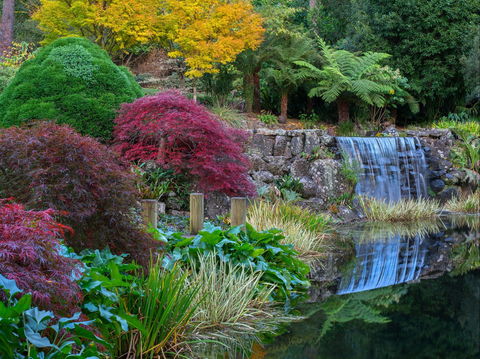 Windyridge Garden Mount Wilson - Hervey Bay Accommodation 2