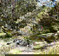 Wollomombi Walking Track - Tourism Hervey Bay