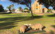 Wombat Statues, Moonta - thumb 2