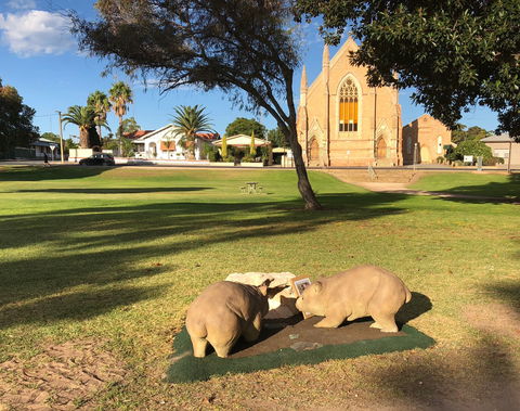 Wombat Statues, Moonta - Hervey Bay Accommodation 2