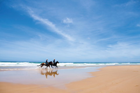 Worimi National Park - Hervey Bay Accommodation 2