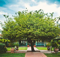 Ainslie  Gorman Arts Centres - Hervey Bay Accommodation